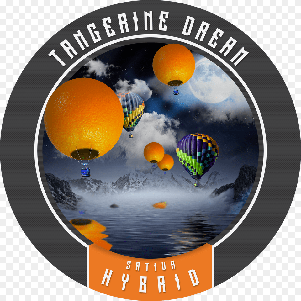 This Is A Fun Smoke Free Png