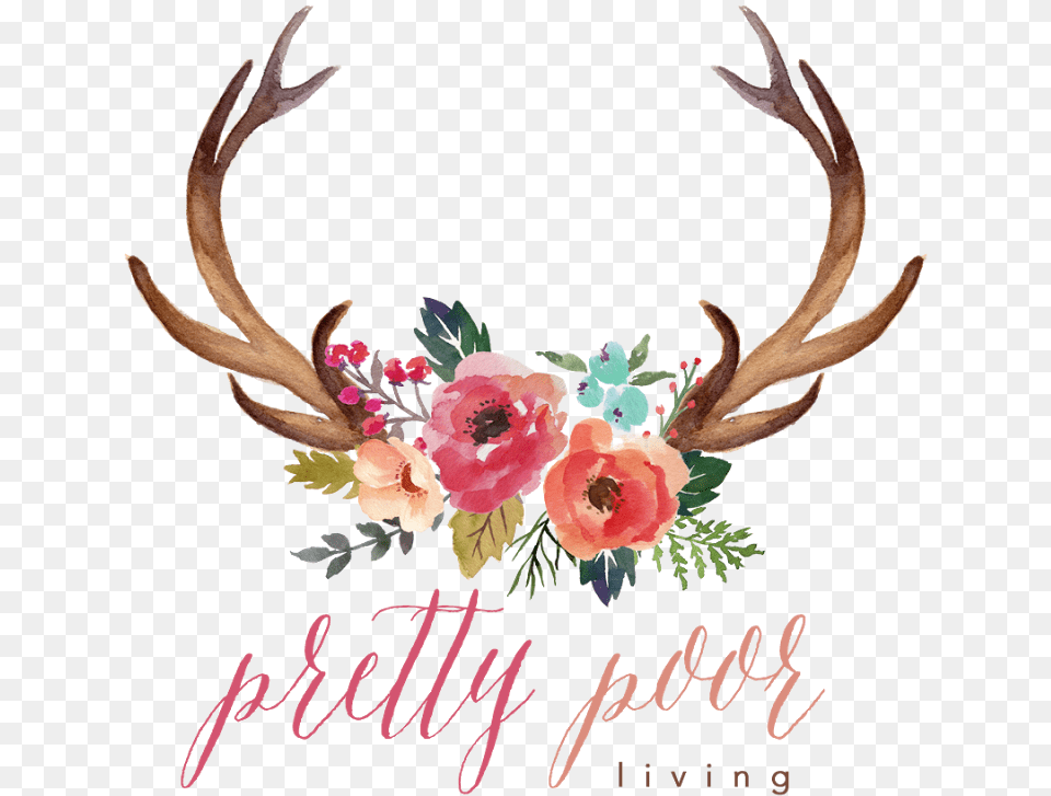 This Is A Repost From One Of Our Show Hosts Chelsey Antlers With Flowers Clipart, Antler, Flower, Plant, Rose Png Image