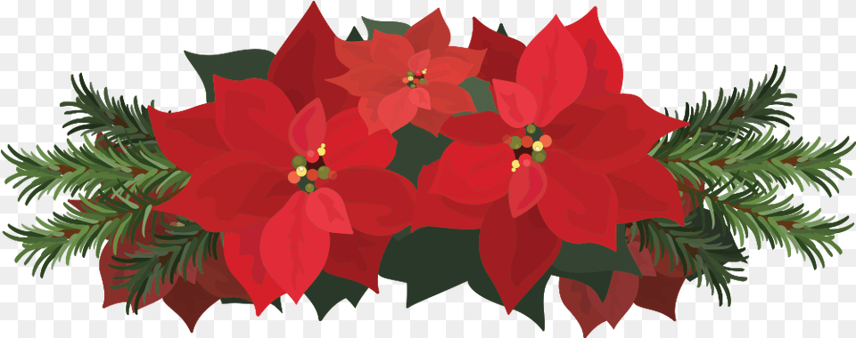 This Is A Sticker Of Poinsettia Flower Poinsettia Pascuas Flores Transparente, Art, Floral Design, Graphics, Leaf Free Png Download