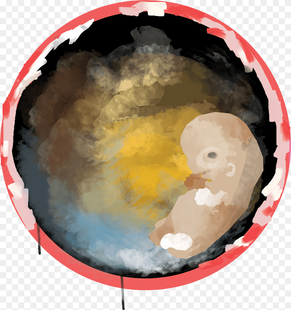 This Is An Illustration For An Embryo Circle Png Image