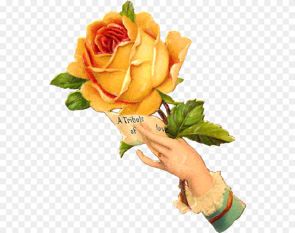 This Is Another Lovely Victorian Scrap Of A Pretty Garden Roses, Flower, Flower Arrangement, Flower Bouquet, Plant Png