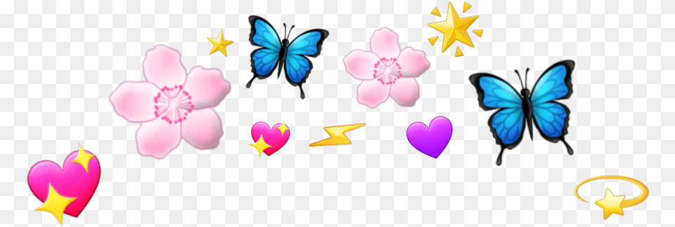 This Is Cute Lycaenid, Flower, Petal, Plant Png