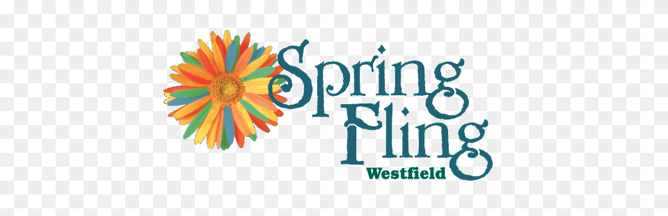This Is It The Westfield Spring Fling Vendor Application, Daisy, Flower, Plant, Art Png