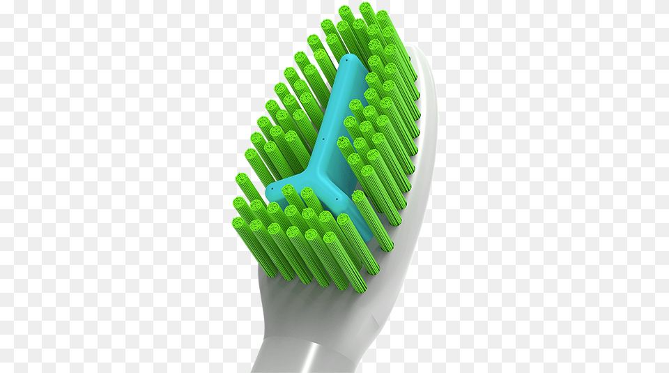 This Is One Of The Most Important Parts Of Ivmax Toothbrush Rake, Brush, Device, Tool Png Image