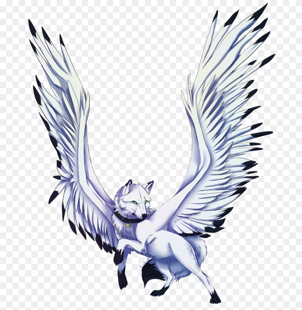 This Is Tex Hes My Wolf He Is In Fact A Dire Wolf And Does, Animal, Bird, Angel Png Image