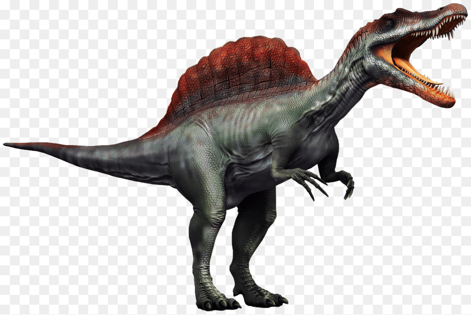 This Is The Last Version Of The Spinosaurus Description, Animal, Dinosaur, Reptile, T-rex Png Image