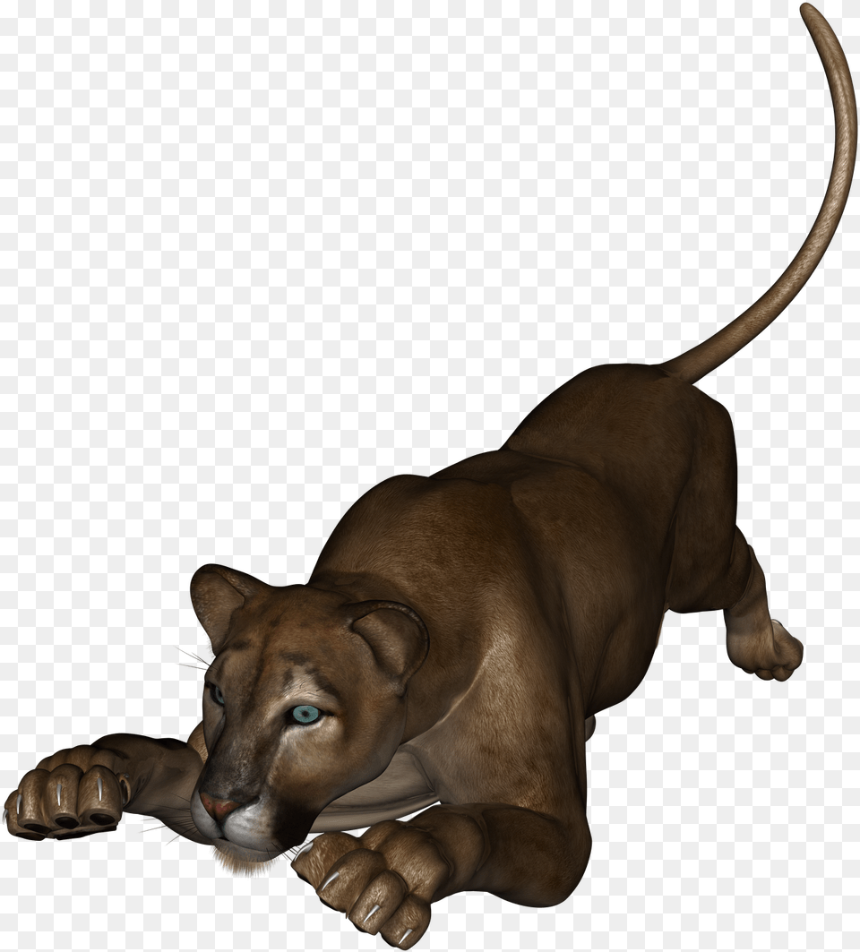 This Is The Lioness From Daz Studio Companion Dog, Animal, Pet, Canine, Mammal Png Image