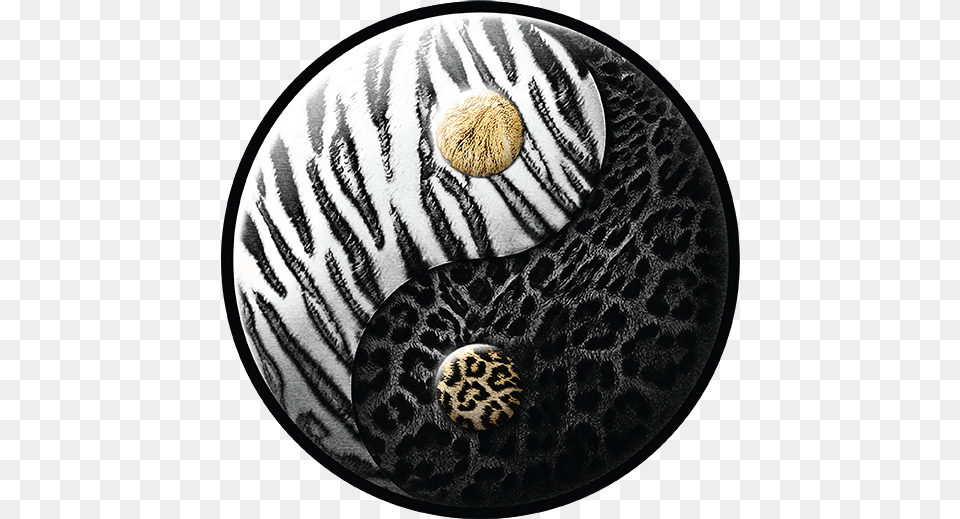 This Is The Logo For The Black Jaguar White Tiger Foundation Black Jaguar White Tiger Foundation Logo, Sphere, Accessories, Home Decor, Pebble Free Png Download