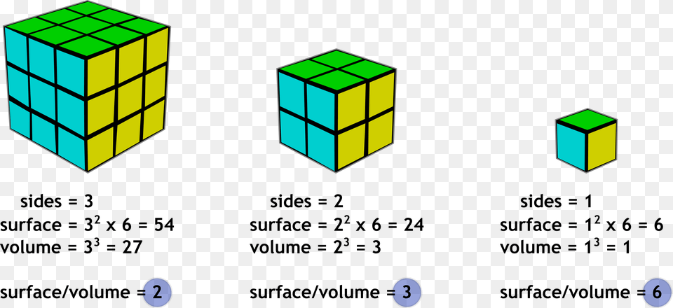 This Is Why Granulated Sugar Dissolves Much Faster Surface Area To Volume Ratio, Toy, Rubix Cube Free Png