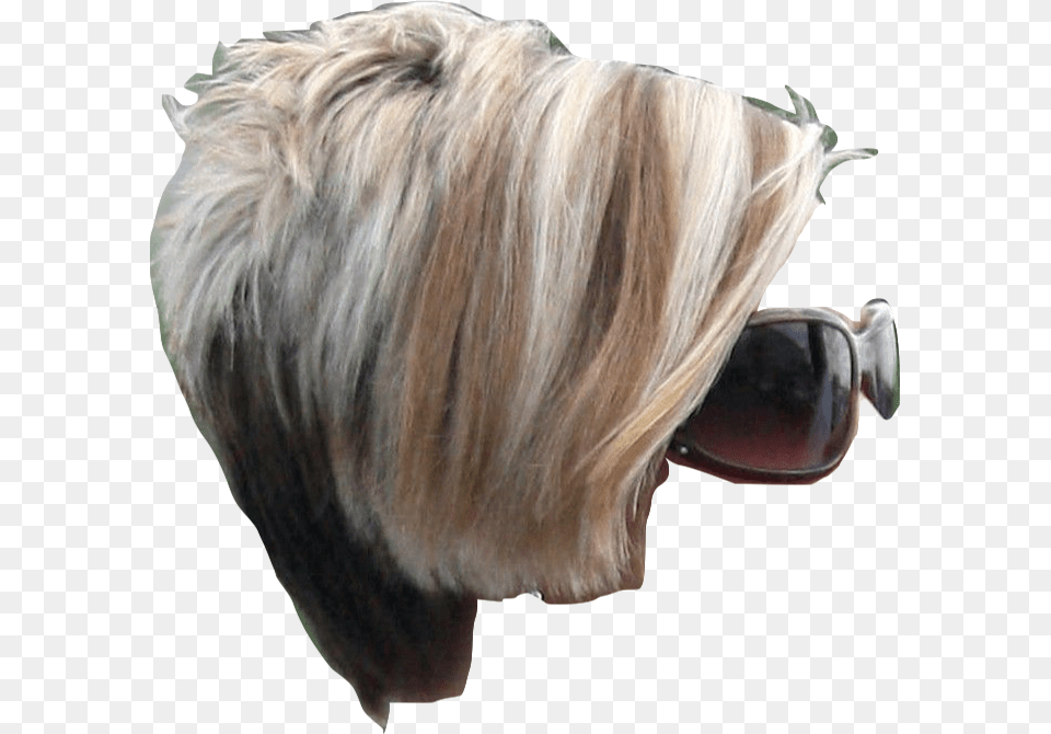 This Ladys Hairdo Fights Her Battles For Her And Wins, Accessories, Person, Hair, Blonde Free Png