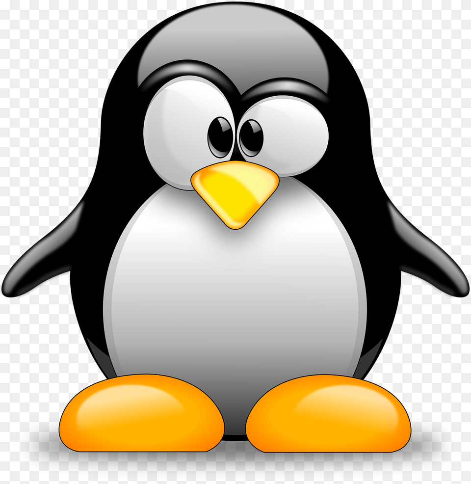 This Linux Kernel Change Quotrevert X86mm Penguin Cartoon, Animal, Bird, Nature, Outdoors Free Png