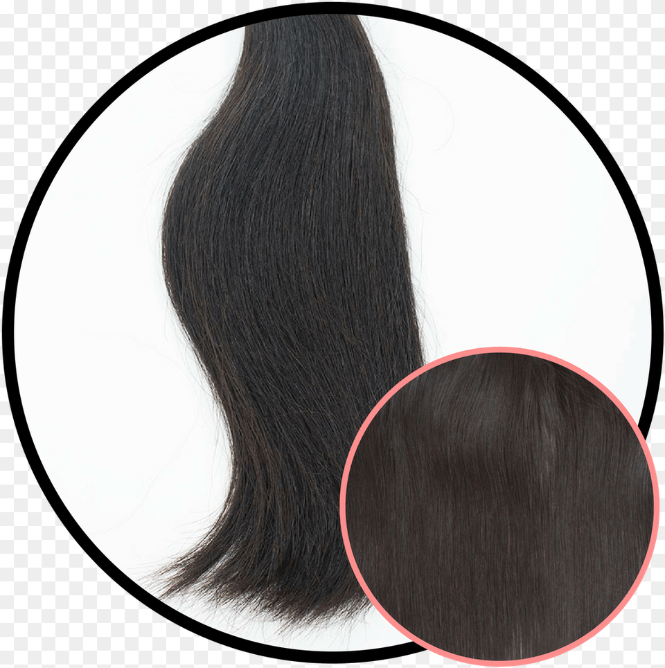 This Natural Textured Virgin Human Hair Lace Wig, Person, Ponytail, Ping Pong, Ping Pong Paddle Png Image