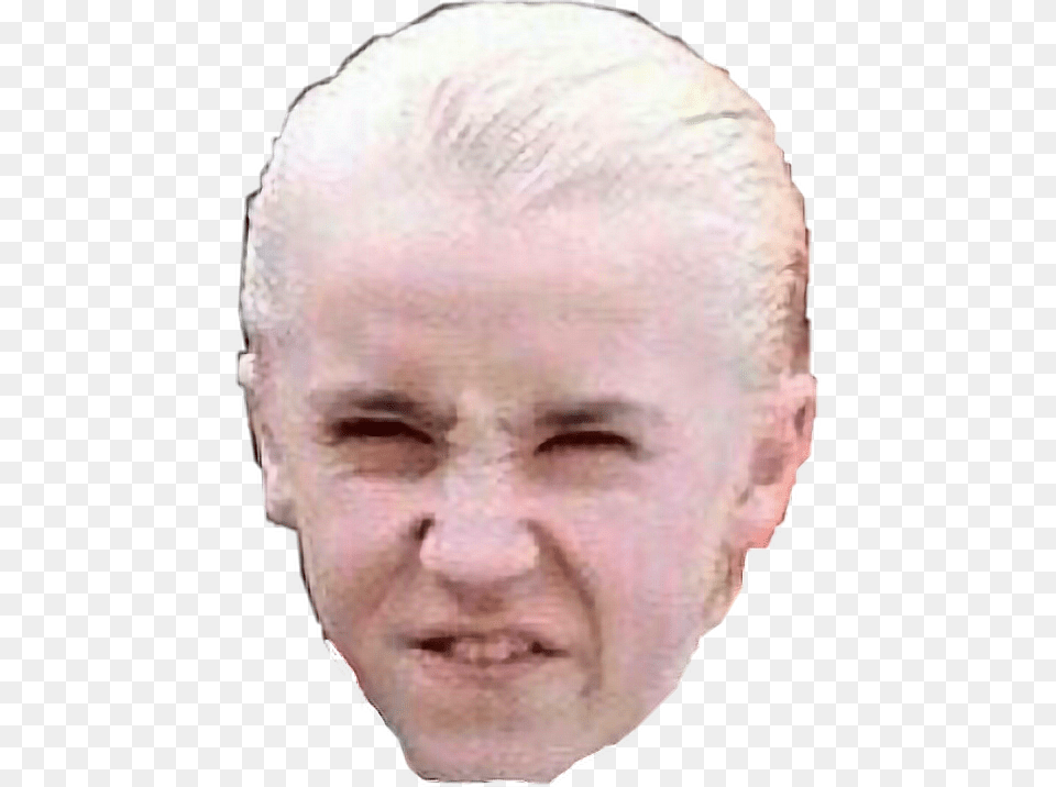This Needs No Explanation Draco Malfoy Face, Head, Person, Photography, Portrait Png