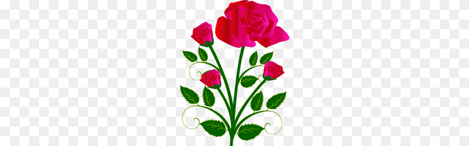 This Nice Red Roses Clip Art, Flower, Plant, Rose, Pattern Free Png Download