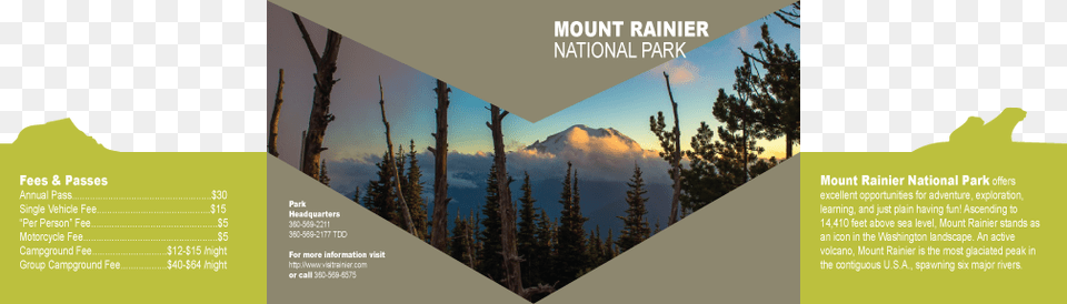 This Park Offers Plenty Of Activities Such As Hiking Mount Rainier, Advertisement, Plant, Poster, Tree Free Png