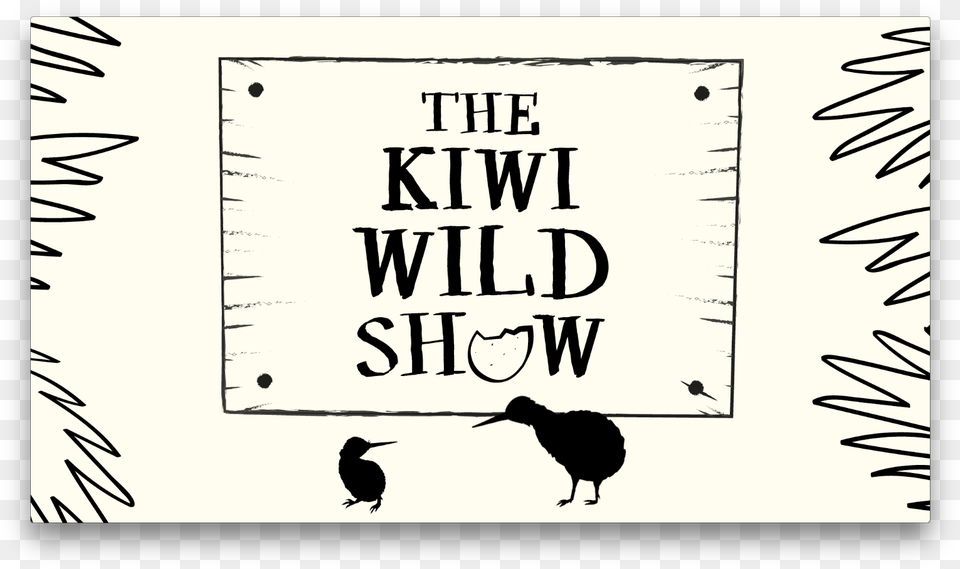 This Program Helps Raise The Chances Of Kiwi Chicks Must, Book, Publication, Animal, Bird Free Transparent Png