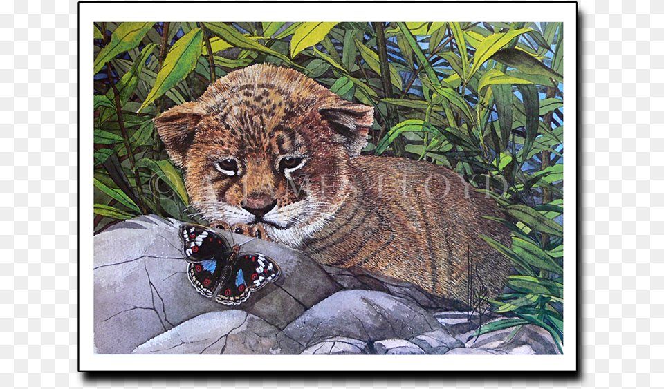 This Puddle39s Mine Ocelot, Animal, Bear, Mammal, Wildlife Free Png