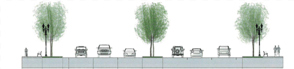 This Shows The Proposed Paving And Planted Medians Houseplant, Potted Plant, Tree, Plant, Grass Png Image