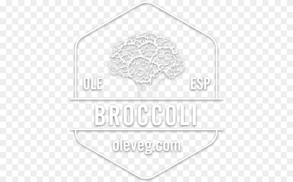 This Vegetable Is A Highly Perishable Product And It Illustration, Sticker, Logo Free Transparent Png