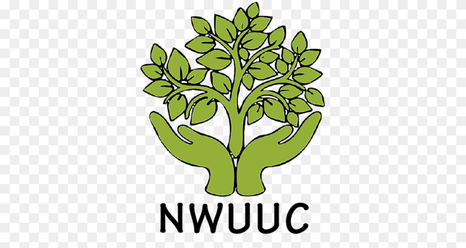 This Weeks Neuus Nwuuc, Green, Leaf, Plant, Herbal Free Transparent Png