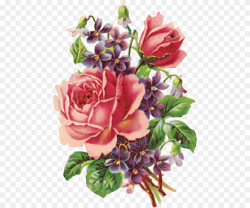 This Would Be A Beautiful Tattoo Of The Flowers Of Lilac Vintage Clip Art, Plant, Pattern, Graphics, Flower Png