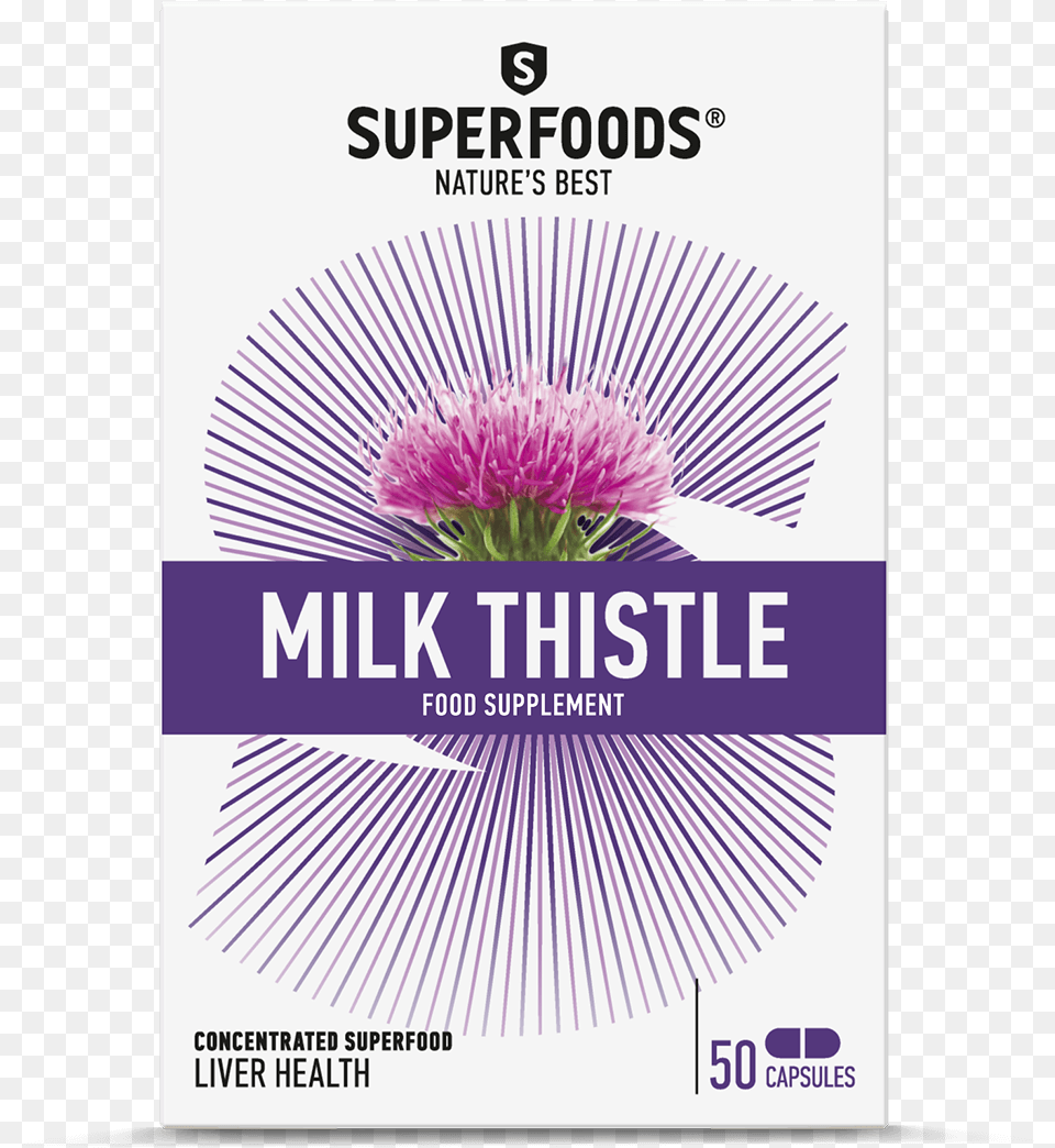 Thistle, Advertisement, Flower, Plant, Poster Free Png