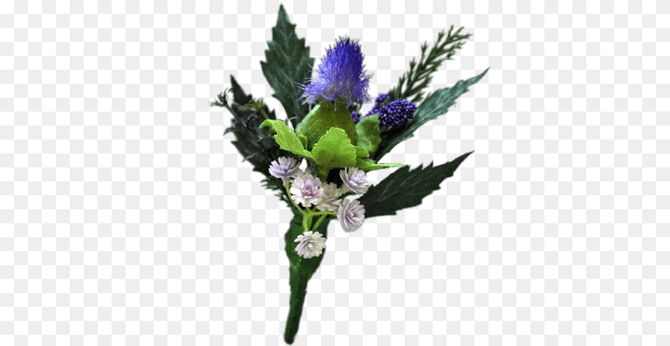 Thistle Boutonniere, Flower, Flower Arrangement, Flower Bouquet, Plant Png Image