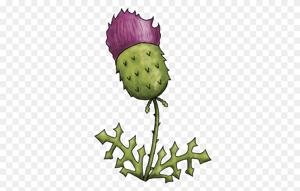 Thistle Clip Art Clipart Collection, Flower, Plant, Food, Produce Free Png