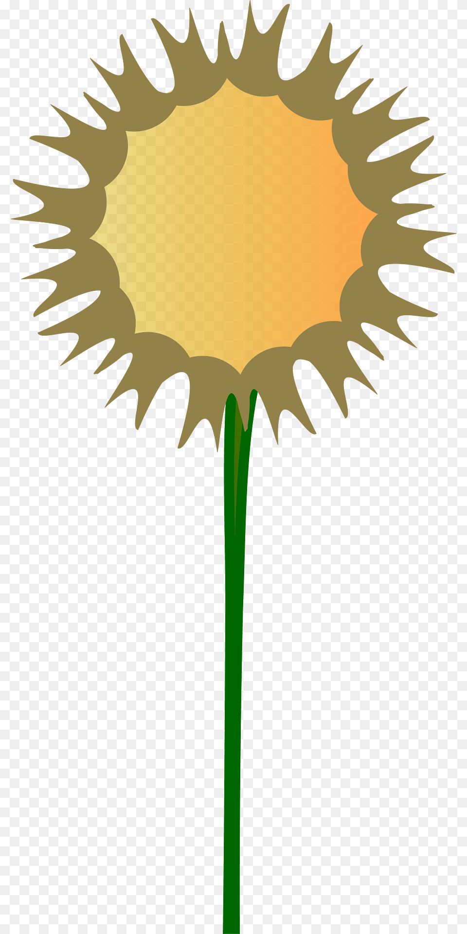 Thistle Clipart, Flower, Plant, Sunflower, Dandelion Free Png Download