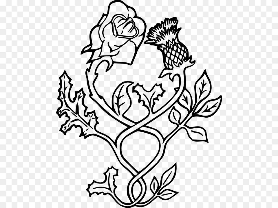 Thistle England Scotland Flower Rose Ornament Scottish Thistle And English Rose Tattoos, Gray Free Transparent Png