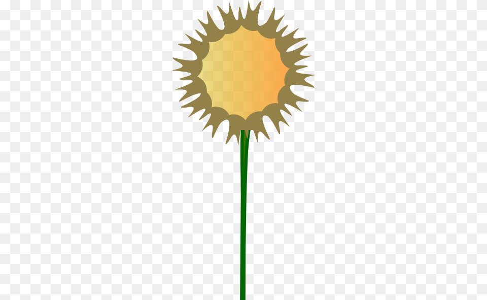 Thistle Flower Clip Art, Plant, Sunflower, Person, Petal Free Transparent Png