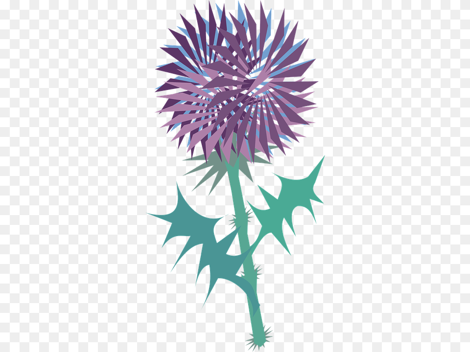 Thistle Flower Clip Art Cliparts, Plant, Person Free Transparent Png