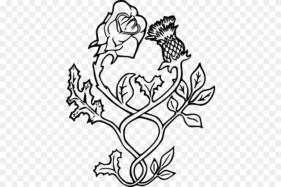 Thistle Rose Tattoo Scotland Drawing Scottish Thistle Image Tattoo, Pattern, Art, Floral Design, Graphics Free Transparent Png