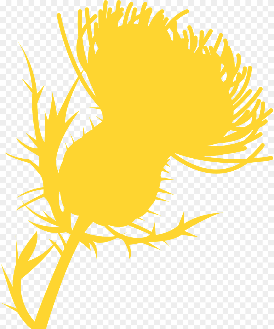 Thistle Silhouette, Flower, Plant, Animal, Fish Free Png Download