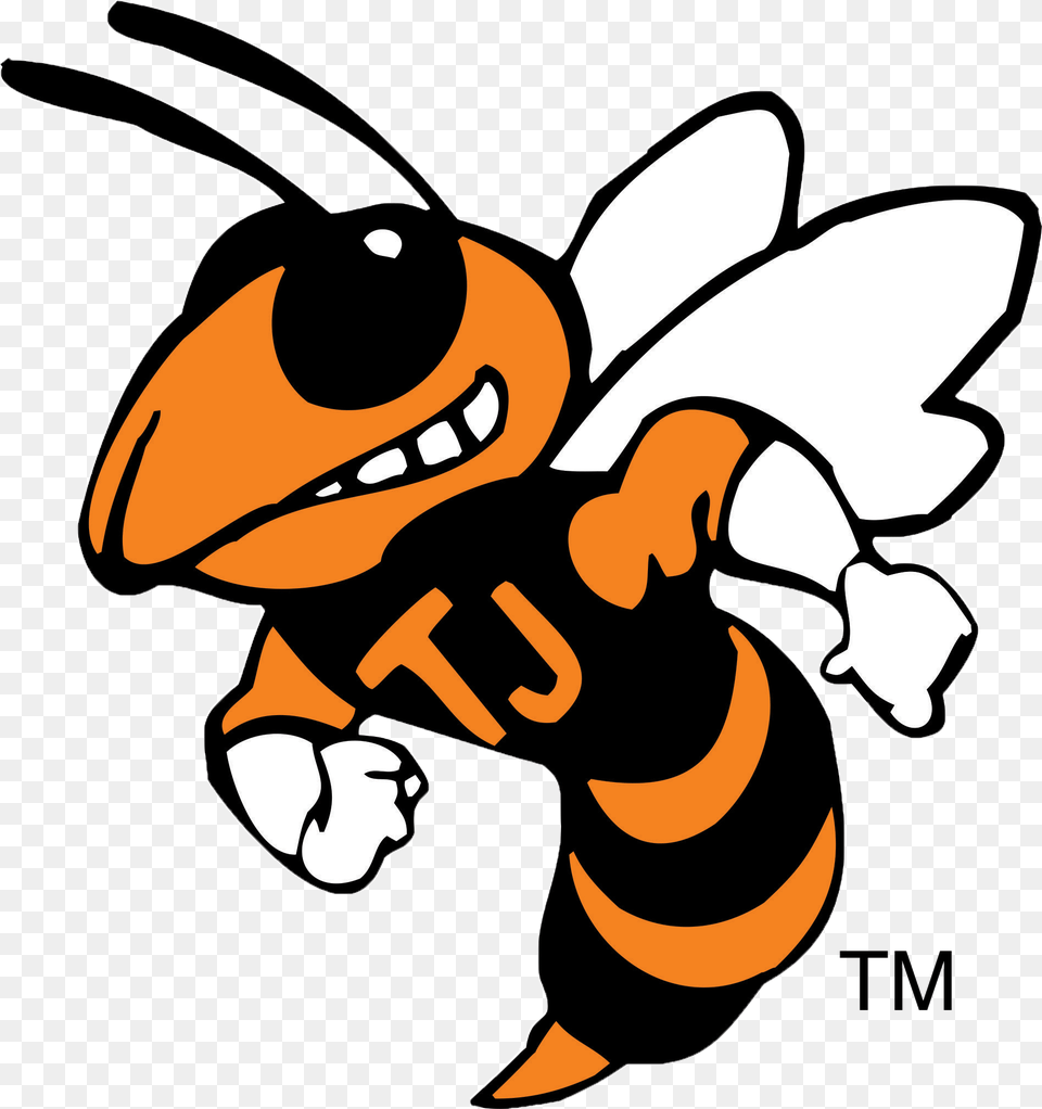 Thomas Jefferson Boys Basketball Season Preview, Animal, Bee, Insect, Invertebrate Png