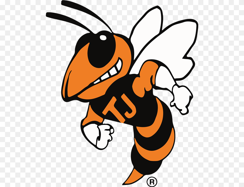 Thomas Jefferson High School Home, Animal, Bee, Honey Bee, Insect Free Png Download