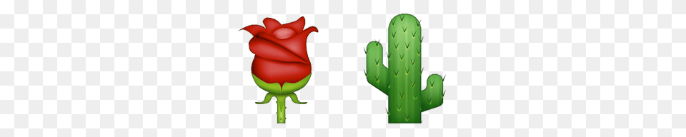 Thorn Emoji Meanings Emoji Stories, Flower, Plant, Rose Png