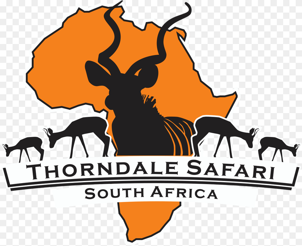 Thorndale Safari Logo Thorndale Safari South African Animal Logo, Antelope, Impala, Mammal, Wildlife Free Png