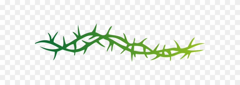 Thorns Green, Light, Animal, Lizard Png