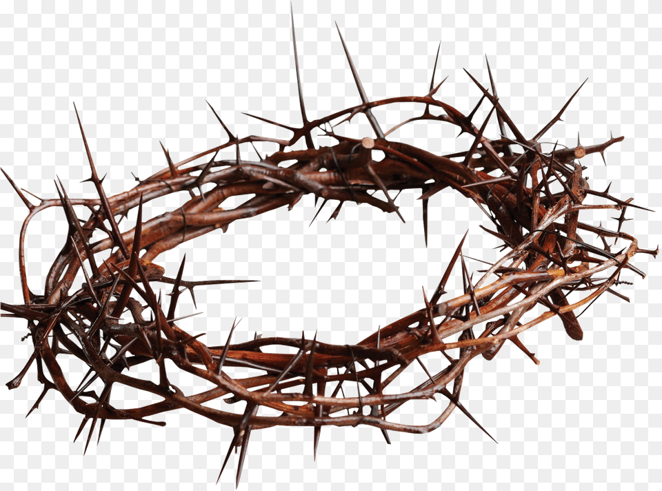 Thorns Crown Background Mart Jesus Crown Of Thorns, Accessories, Wire, Wood, Jewelry Png Image