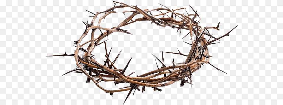 Thorns Crown Picture Crown Of Thorns Royalty, Antler, Animal, Invertebrate, Spider Png