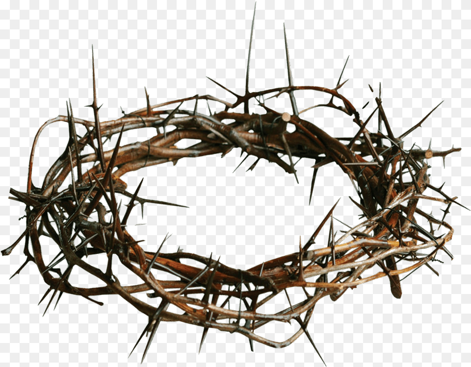 Thorns Transparent Crown Of Thorns, Accessories, Plant Free Png