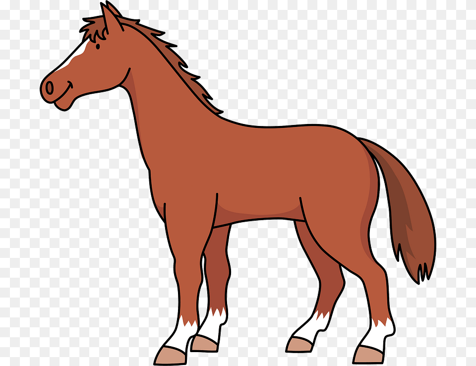 Thoroughbred Horse Animal Clipart Transparent Background Horse Clipart, Colt Horse, Mammal Png