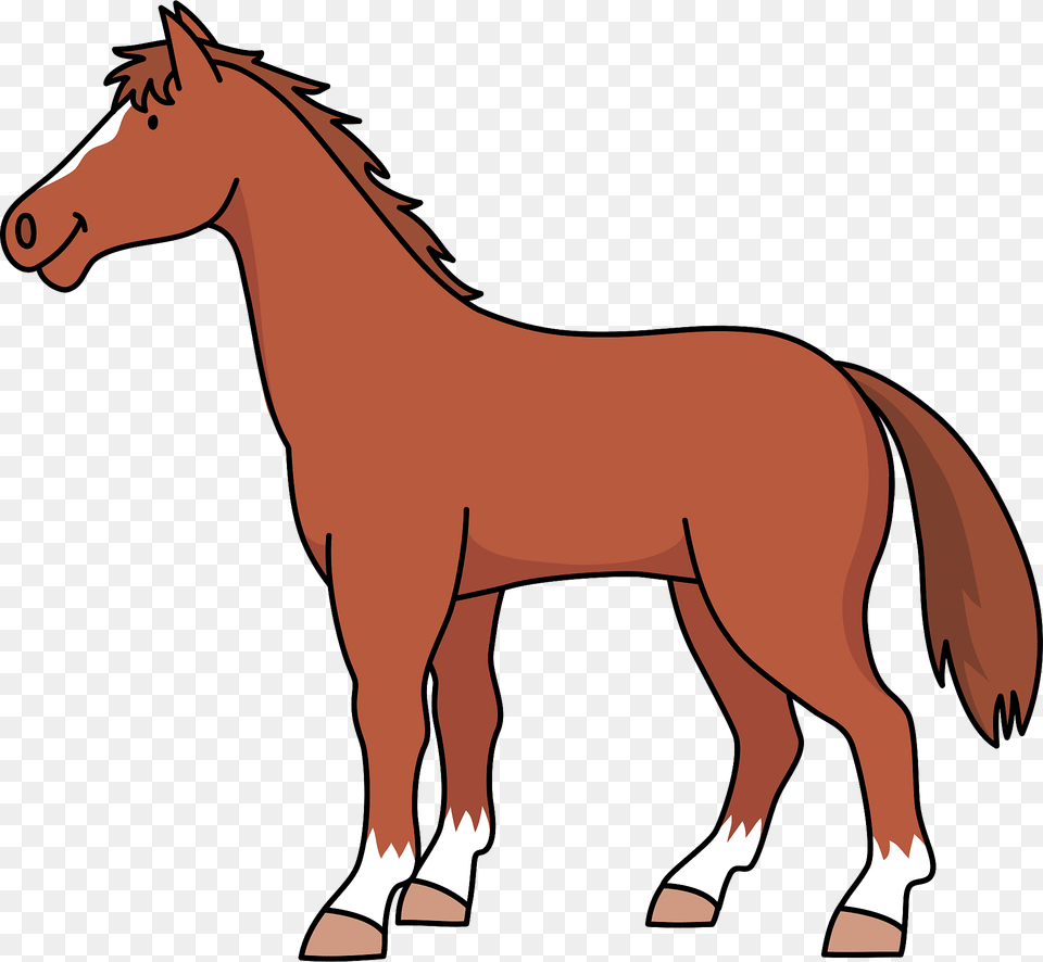 Thoroughbred Horse Clipart, Animal, Colt Horse, Mammal Png