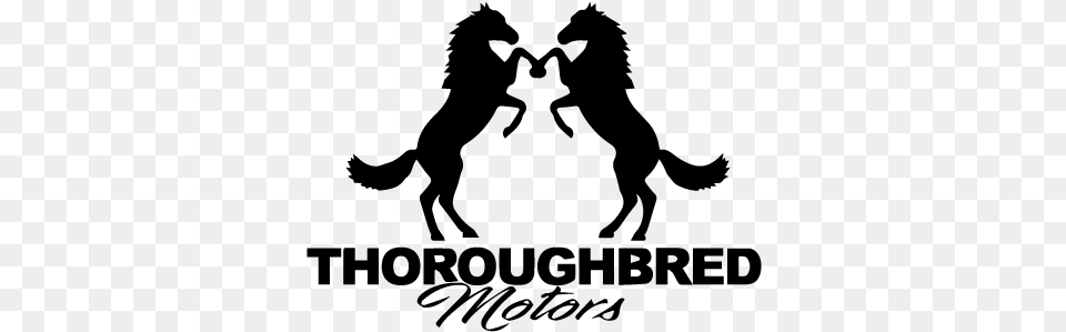 Thoroughbred Motors Dog Catches Something, Gray Png Image