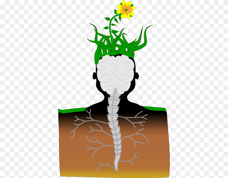 Thought Brain Cannabidiol Information Peripheral Nervous System, Flower, Plant, Daffodil, Animal Free Png