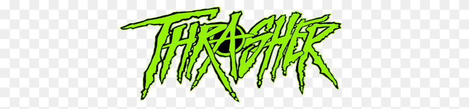 Thrasher, Green, Moss, Plant Free Transparent Png