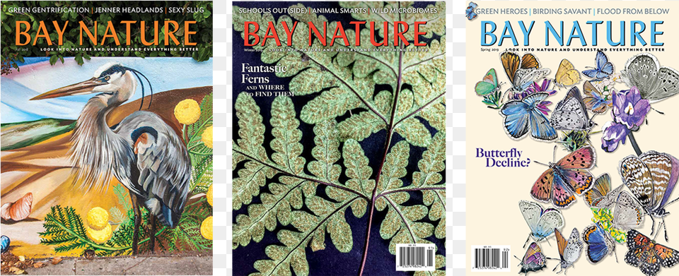 Three Bay Nature Issue Covers Little Blue Heron, Plant, Animal, Bird, Publication Free Png