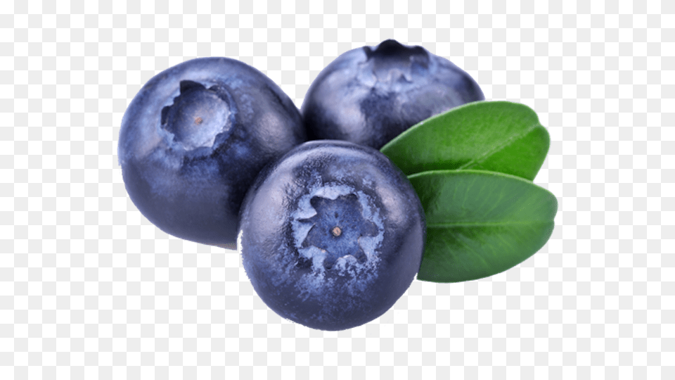 Three Blueberries, Berry, Blueberry, Food, Fruit Png