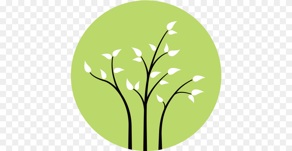 Three Branches Wellness Twig, Art, Graphics, Green, Floral Design Free Png Download